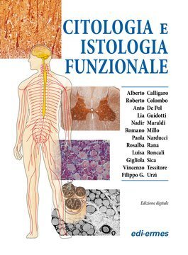 Large ede20c 113 cover.360