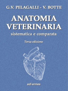 Large ede21c 004 cover.360