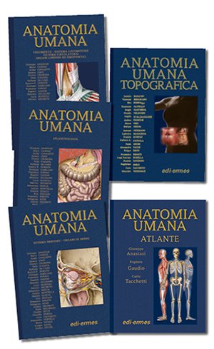 Large anatomybagplus dg24 01