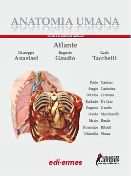 Large ede18c 018 cover.360