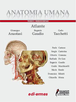 Large ede18c 019 cover.360