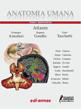 Large ede18c 020 cover.360