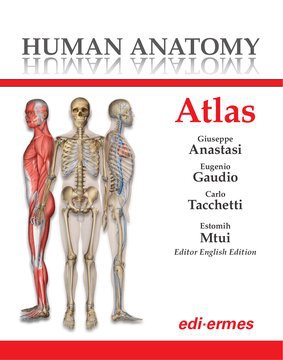 Large ede19c 005 cover.360